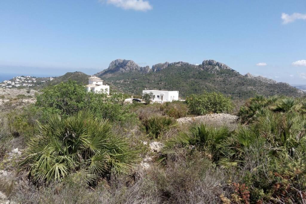 El Sol Blanco Villa Ráfol de Almunia Exteriör bild